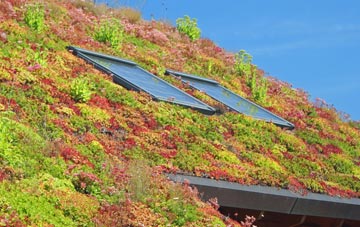 Hailsham living roof systems