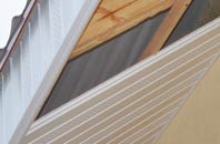 rated Hailsham soffit repair companies